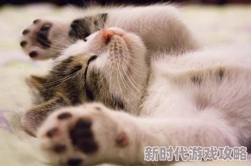 正在播放做爰小明在家养了一只可爱的猫咪,每天都陪伴他一起看电视 正在播放做爰小明在家养了一只可爱的猫咪,每天都陪伴他一起看电视