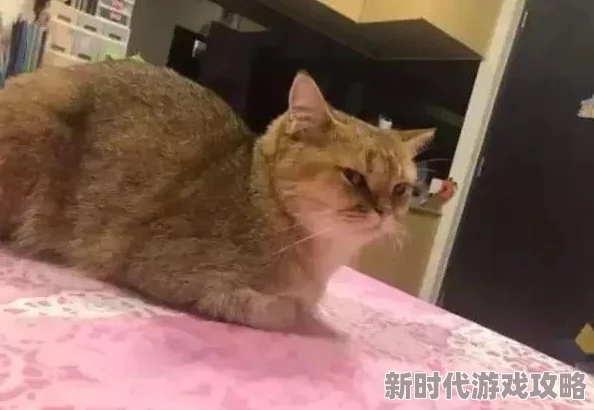 正在播放做爰小明在家养了一只可爱的猫咪,每天都陪伴他一起看电视 正在播放做爰小明在家养了一只可爱的猫咪,每天都陪伴他一起看电视
