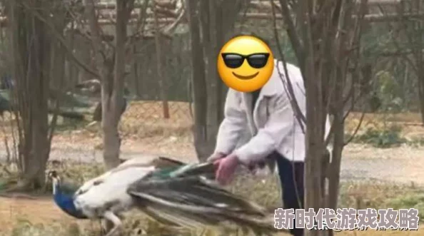 被迫献身被蹂躏视频近日在社交媒体上引发热议,网友纷纷谴责此类行为并呼吁加强网络监管 被迫献身被蹂躏视频近日在社交媒体上引发热议,网友纷纷谴责此类行为并呼吁加强网络监管