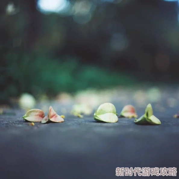 轻率的爱一段被时间和现实考验最终走向成熟的爱情故事 轻率的爱一段被时间和现实考验最终走向成熟的爱情故事