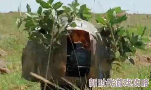 屎交惊现神秘代码网友猜测或与地下组织有关 屎交惊现神秘代码网友猜测或与地下组织有关