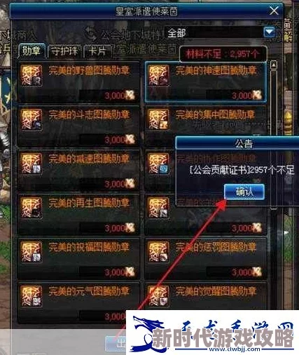 DNF最新爆料：哪个地图掉落稀有工会勋章详解