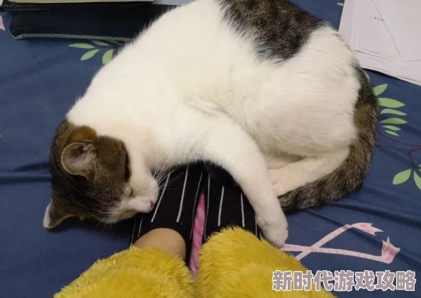 直不起腰by阿肥听说作者阿肥最近沉迷撸猫导致更新变慢了 直不起腰by阿肥听说作者阿肥最近沉迷撸猫导致更新变慢了