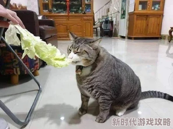 直不起腰by阿肥听说作者阿肥最近沉迷撸猫导致更新变慢了 直不起腰by阿肥听说作者阿肥最近沉迷撸猫导致更新变慢了