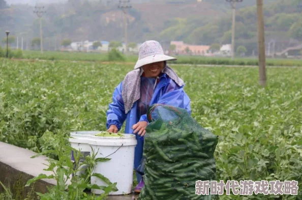 独家爆料！此间山海预约地址全揭秘：哪里抢先预约下载抢鲜体验