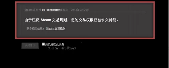 2025年解析Steam红信新趋势：Steam红信含义及影响深度介绍